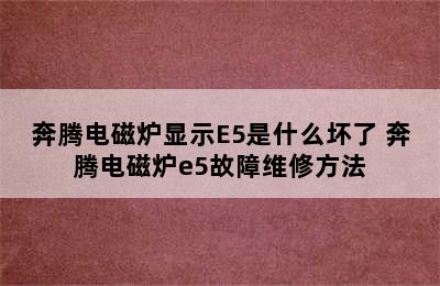 奔腾电磁炉显示E5是什么坏了 奔腾电磁炉e5故障维修方法